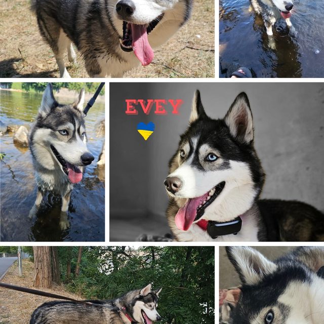Evey