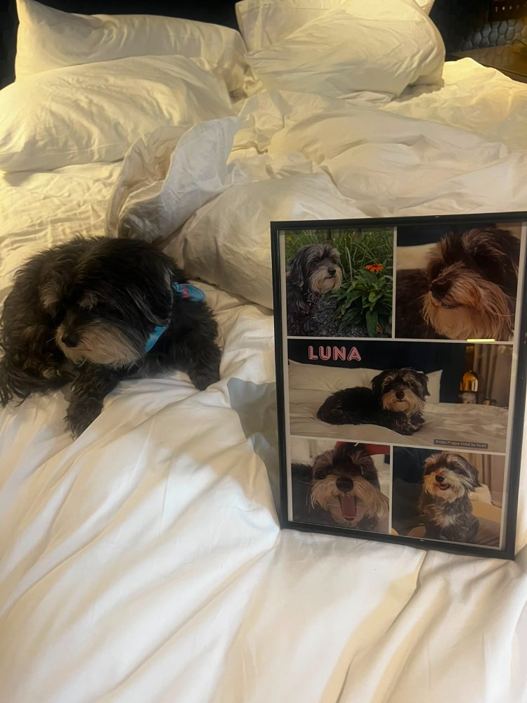 Luna